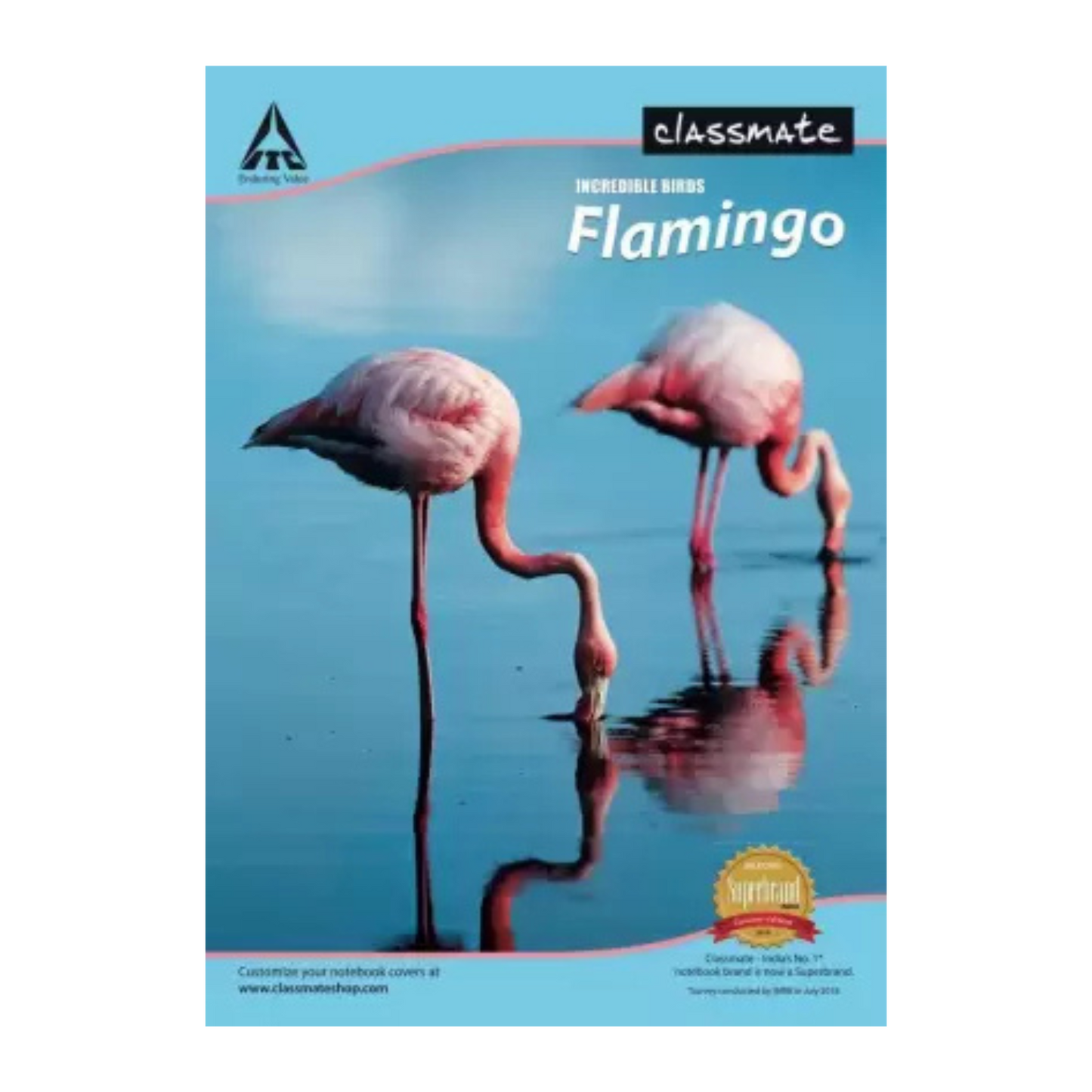 Classmate Longbook A4 Notebook Single Line 240 Pages (Multicolor, Pack of 6)