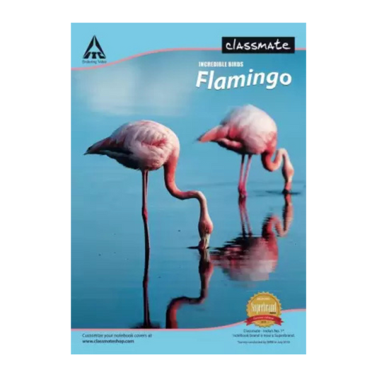 Classmate Longbook A4 Notebook Single Line 240 Pages (Multicolor, Pack of 6)