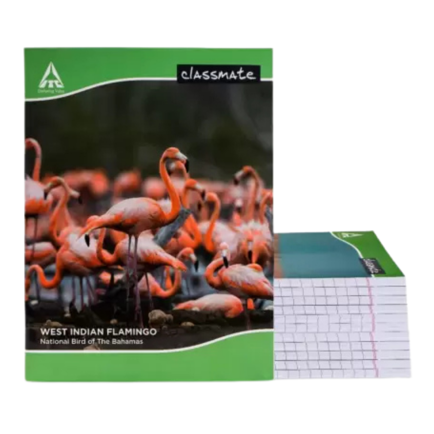 Classmate Notebook Regular Notebook Single Line 172 Pages (Multicolor, Pack of 12)