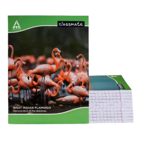 Classmate Notebook Regular Notebook Single Line 172 Pages (Multicolor, Pack of 12)