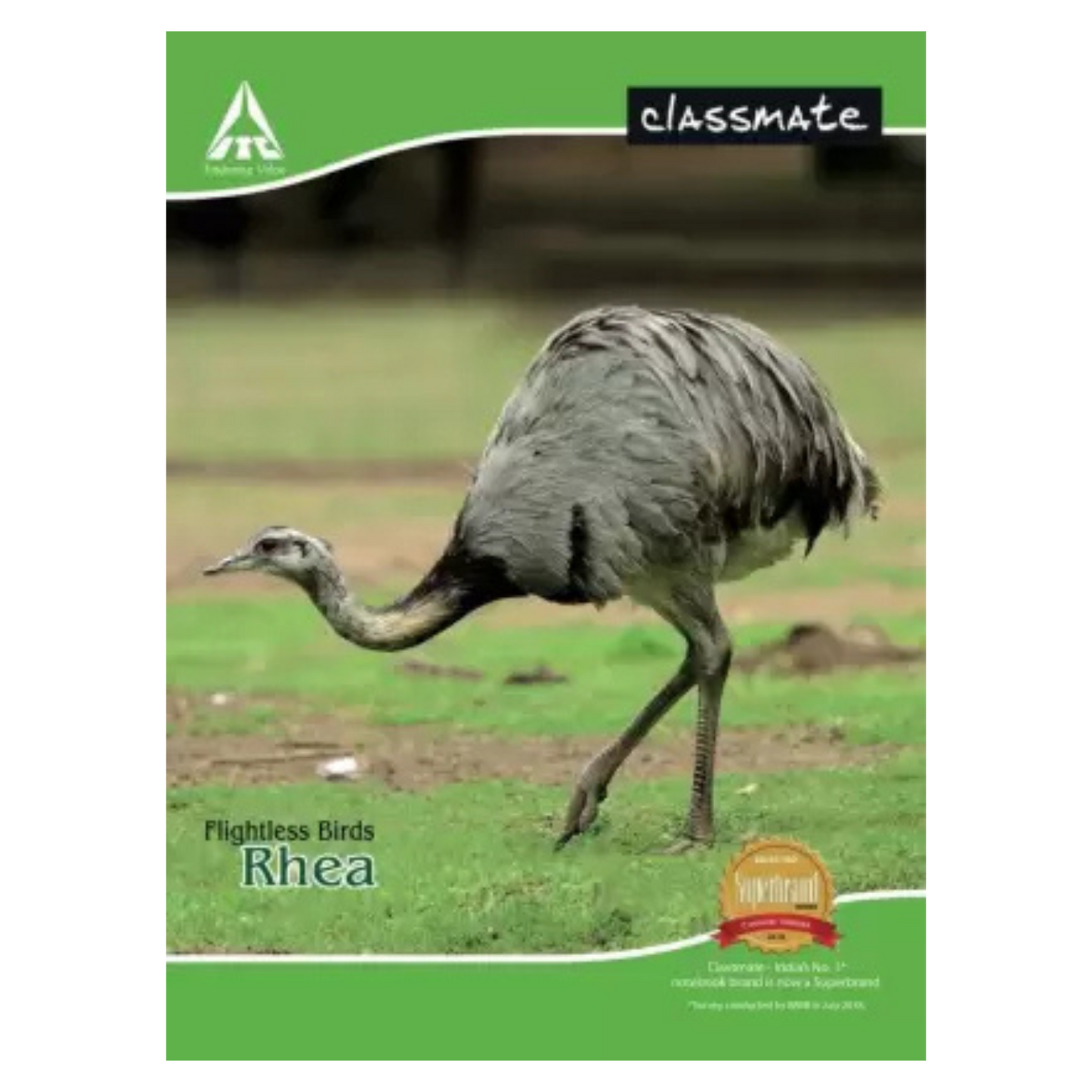 Classmate Notebook Book-size Notebook Unruled 24 Pages (Multicolor, Pack of 24)