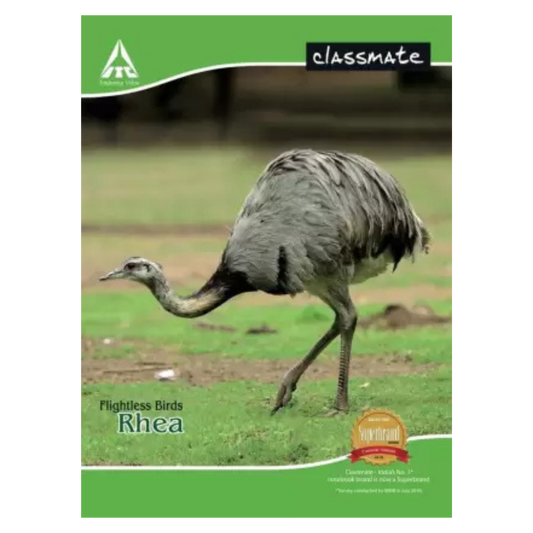 Classmate Notebook Book-size Notebook Unruled 24 Pages (Multicolor, Pack of 24)