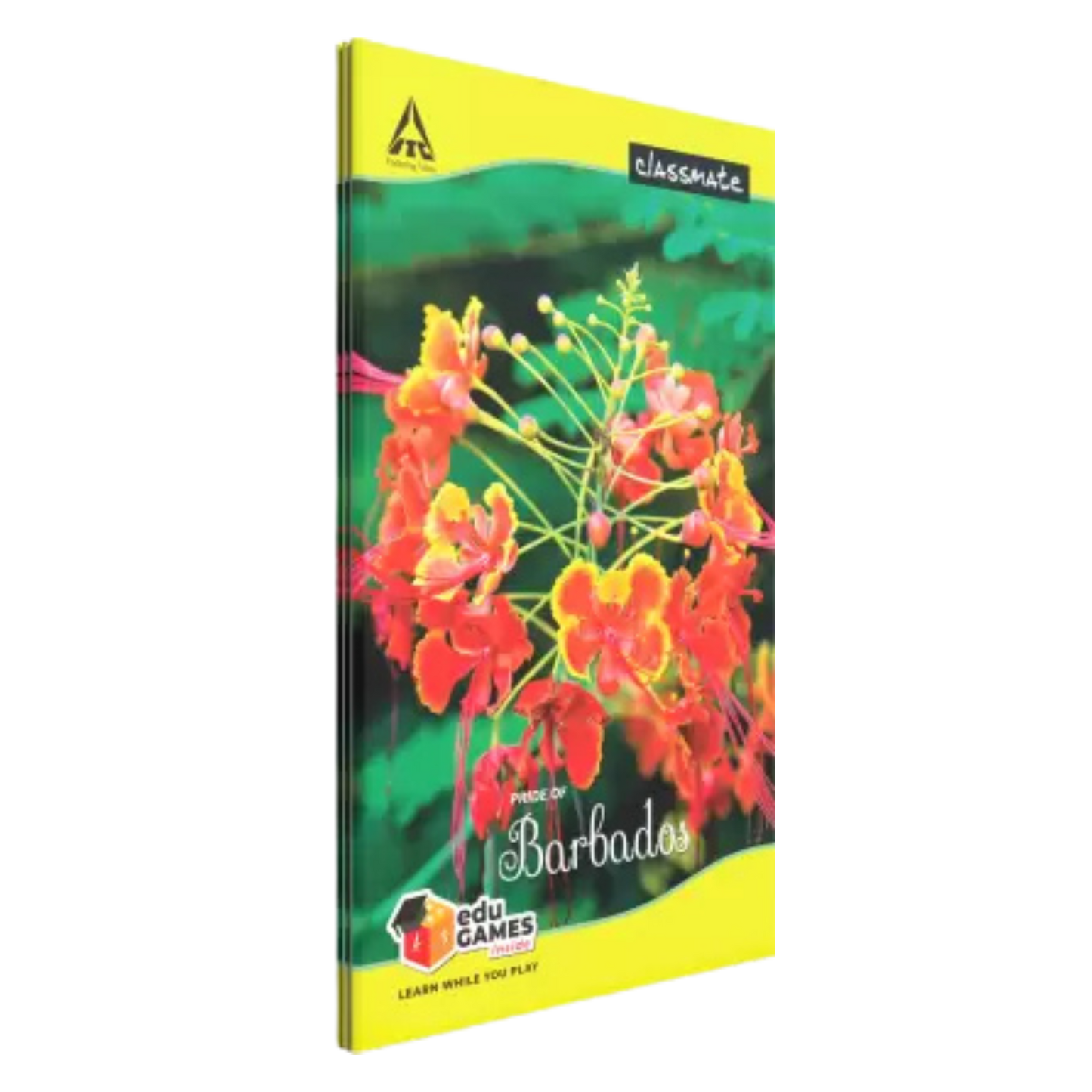 Classmate Longbook Regular Notebook unruled 160 Pages (Multicolor, Pack of 6)