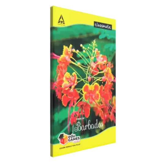 Classmate Longbook Regular Notebook unruled 160 Pages (Multicolor, Pack of 6)