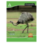 Classmate Notebook Book-size Notebook Unruled 24 Pages (Multicolor, Pack of 24)